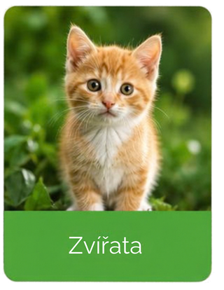 Zvířata